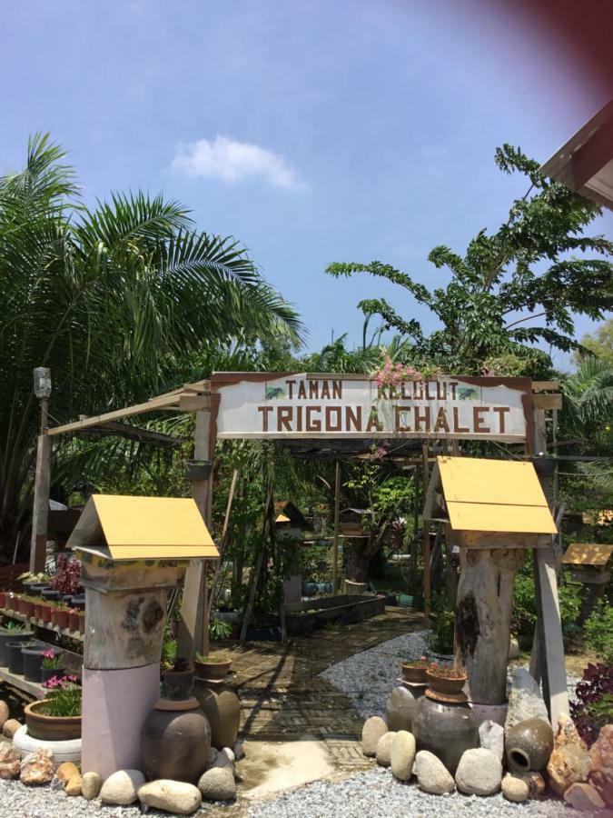 Hotel Trigona Chalet Marang Exterior foto
